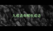 九成语有哪些成语