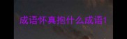 成语怀真抱什么成语