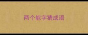 两个能字猜成语