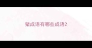 猪成语有哪些成语