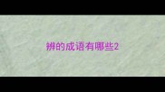 辨的成语有哪些