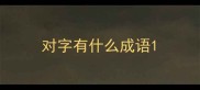 对字有什么成语