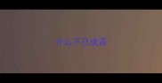 什么不己成语