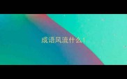 成语风流什么