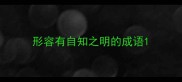 形容有自知之明的成语