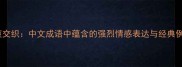 怒哀交织中文成语中蕴含的强烈情感表达与经典例句