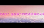 九字成语大这些带九的成语你真的会读吗