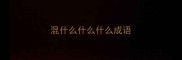 混什么什么什么成语