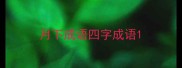 月下成语四字成语