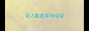 说人脸皮厚的成语