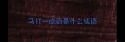 马打一成语是什么成语