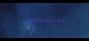 一把箭在匹马是什么成语