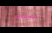没有收获的成语