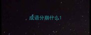 成语分崩什么