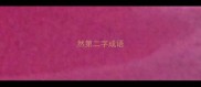 然第二字成语