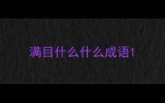 满目什么什么成语