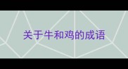 关于牛和鸡的成语