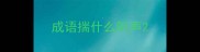 成语揣什么听声