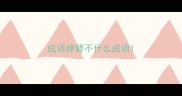 成语掉臂不什么成语