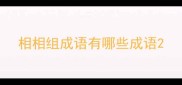 相相组成语有哪些成语