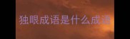 独眼成语是什么成语