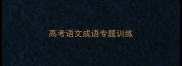 高考语文成语专题训练