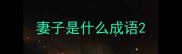 妻子是什么成语