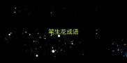 笔生花成语