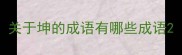 关于坤的成语有哪些成语