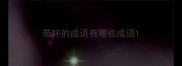 带坏的成语有哪些成语