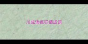 川成语疯狂猜成语