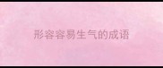 形容容易生气的成语