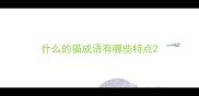 什么的猫成语有哪些特点