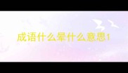成语什么晕什么意思