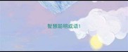 智慧聪明成语