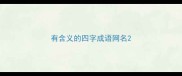 有含义的四字成语网名