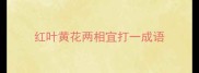 红叶黄花两相宜打一成语