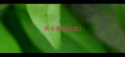 高考重要成语