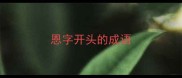 恩字开头的成语