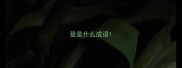 登是什么成语