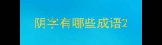 阴字有哪些成语