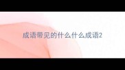 成语带见的什么什么成语