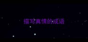 描写真情的成语