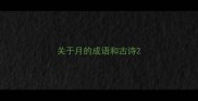 关于月的成语和古诗