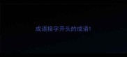 成语接字开头的成语
