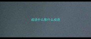 成语什么数什么成语