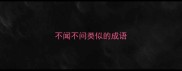 不闻不问类似的成语