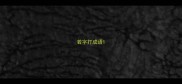 若字打成语