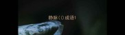 静脉成语