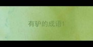 有驴的成语